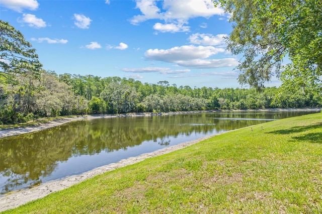 5434 Wellfield Rd, New Port Richey, FL 34655 - water view featuring a forest