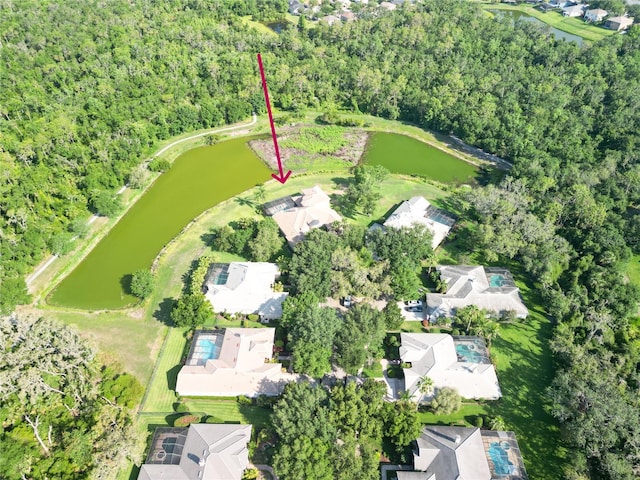 15101 Kestrelglen Way, Lithia, FL 33547 - aerial overview of property's location featuring a nearby body of water, nearby suburban area, and a heavily wooded area
