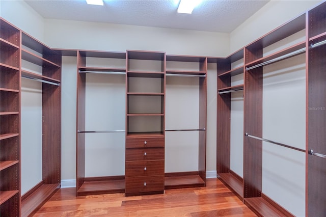 15101 Kestrelglen Way, Lithia, FL 33547 - spacious closet with wood finished floors
