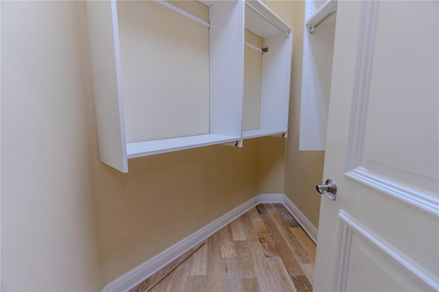 15101 Kestrelglen Way, Lithia, FL 33547 - walk in closet featuring light wood-style floors