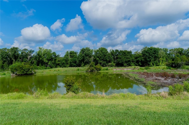 15101 Kestrelglen Way, Lithia, FL 33547 - water view