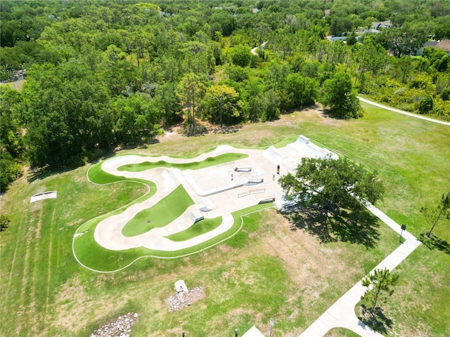 15101 Kestrelglen Way, Lithia, FL 33547 - bird's eye view of a forest