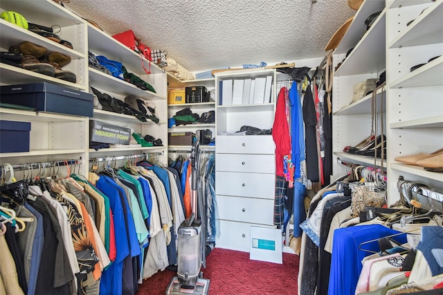 spacious closet featuring carpet flooring