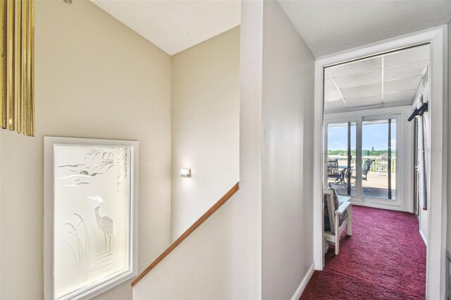 corridor with carpet floors, baseboards, a paneled ceiling, and an upstairs landing