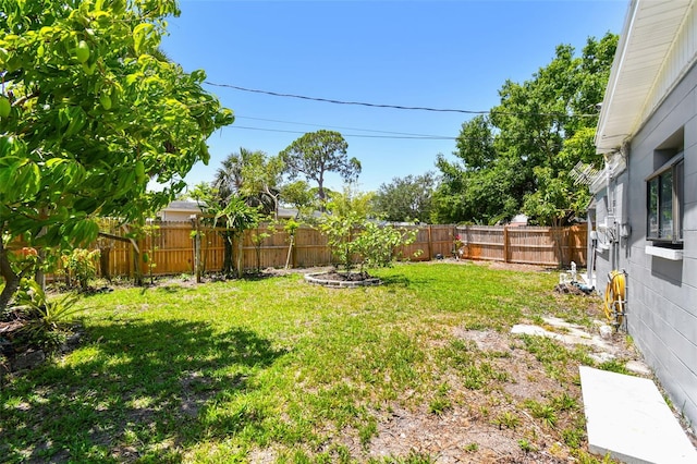 1810 77th Ave N, Saint Petersburg, FL 33702 - view of yard