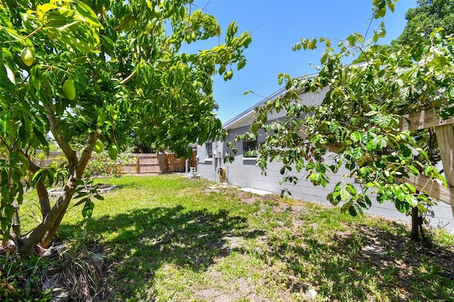 1810 77th Ave N, Saint Petersburg, FL 33702 - view of yard