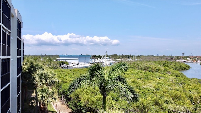 water view