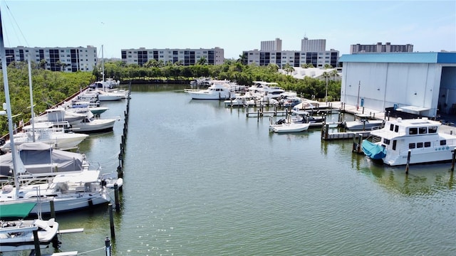 water view with a dock