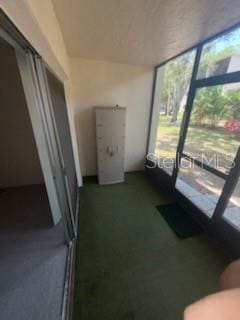861 Maple Ct Unit 104, Dunedin, FL 34698 - photo 8