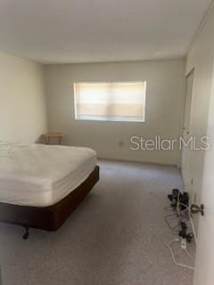 861 Maple Ct Unit 104, Dunedin, FL 34698 - photo 10