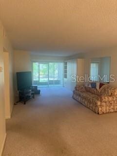 861 Maple Ct Unit 104, Dunedin, FL 34698 - photo 12