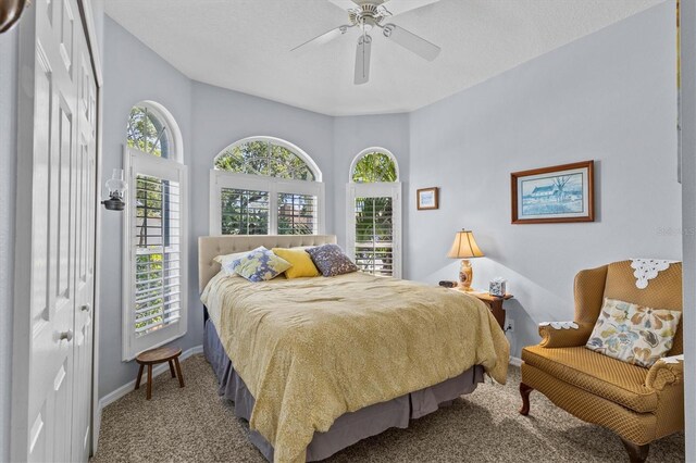 378 Wood Chuck Ave, Tarpon Springs, FL 34689 - photo 20