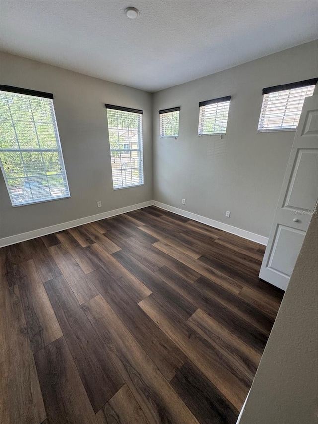 12631 Silverdale St, Tampa, FL 33626 - photo 7