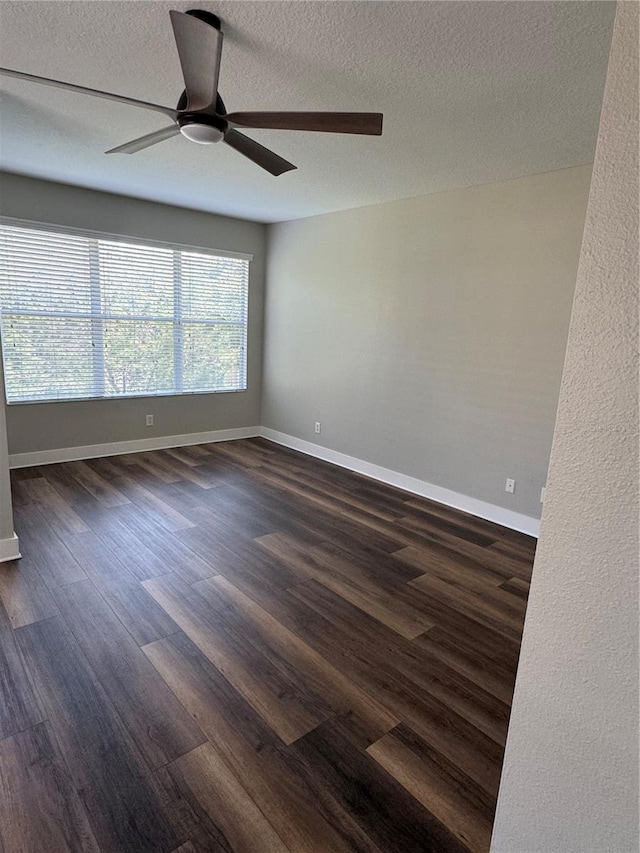 12631 Silverdale St, Tampa, FL 33626 - photo 14