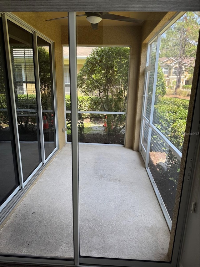 12631 Silverdale St, Tampa, FL 33626 - photo 23