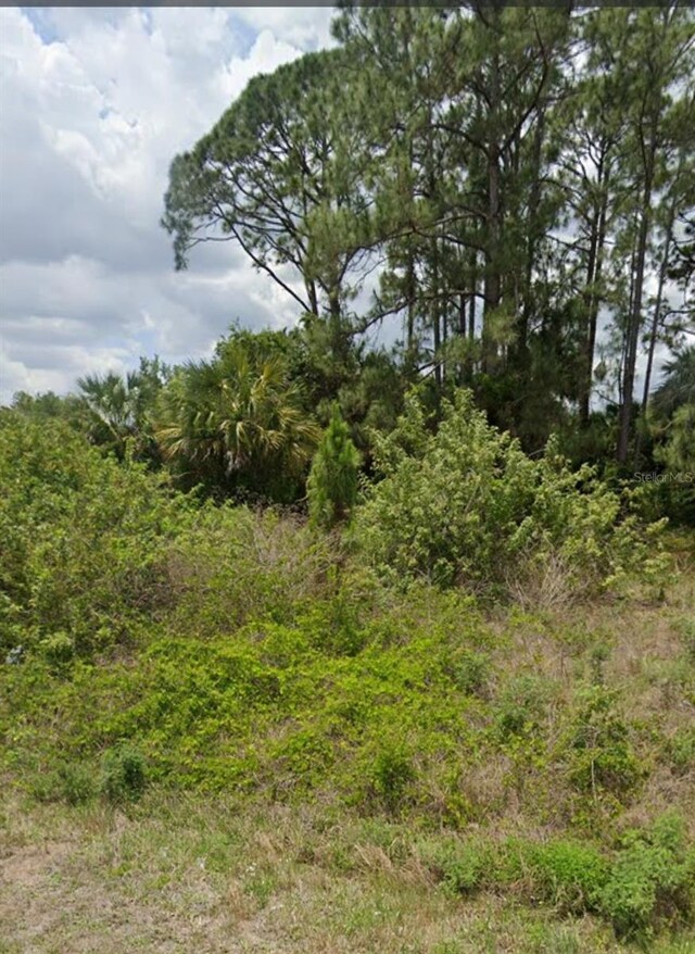 809 Gerald Ave, Lehigh Acres, FL 33936
