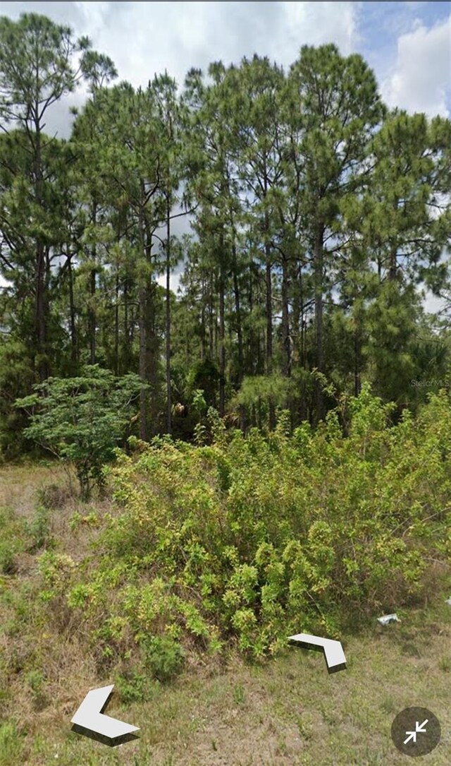 809 Gerald Ave, Lehigh Acres, FL 33936