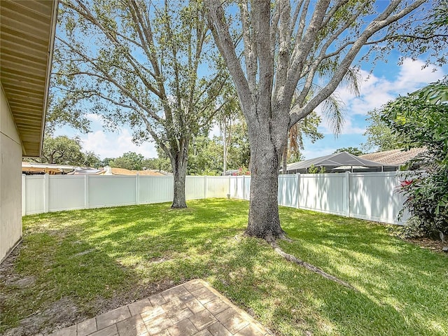 3093 Hillside Ln, Safety Harbor, FL 34695 - view of yard