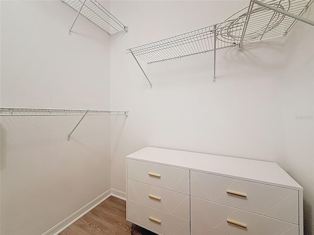 200 4th Ave S Unit 229, Saint Petersburg, FL 33701 - walk in closet with wood finished floors