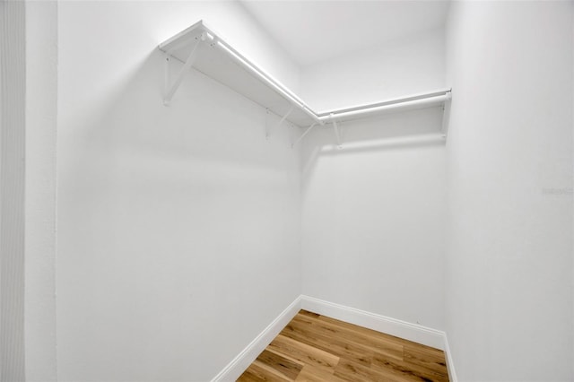 walk in closet featuring light wood-style floors