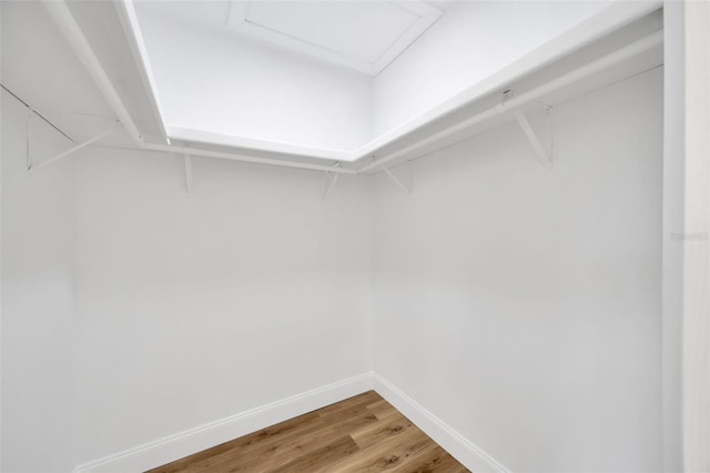 walk in closet featuring light wood-type flooring