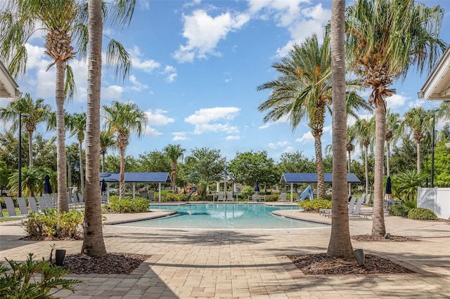 13421 Lake Monroe Pl, Riverview, FL 33579 - view of community pool