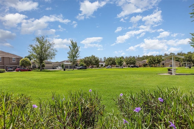 13421 Lake Monroe Pl, Riverview, FL 33579 - view of green lawn with a residential view