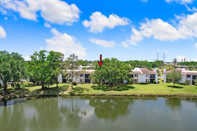 172 Lakeview Way Unit 172, Oldsmar, FL 34677 - water view