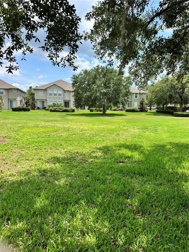 view of green lawn