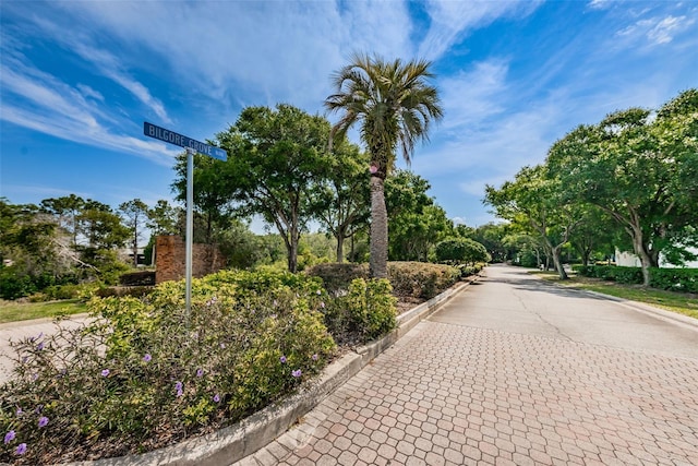 2706 11th Ct, Palm Harbor, FL 34684 - view of home's community
