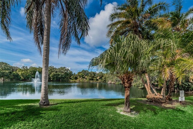 2706 11th Ct, Palm Harbor, FL 34684 - water view