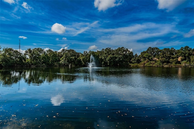 2706 11th Ct, Palm Harbor, FL 34684 - water view