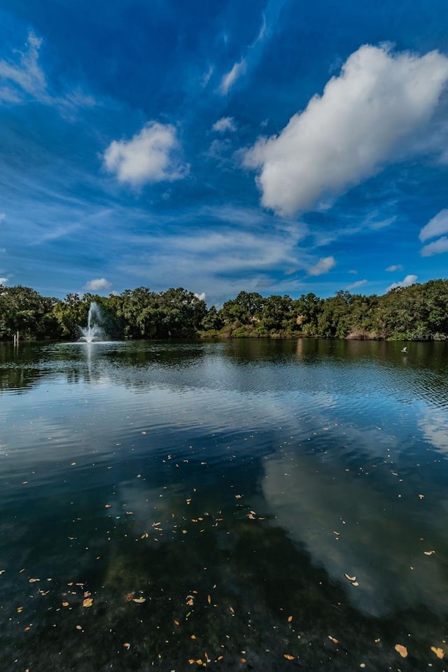 2706 11th Ct, Palm Harbor, FL 34684 - water view