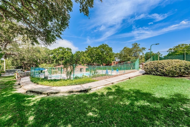 2706 11th Ct, Palm Harbor, FL 34684 - view of community pool