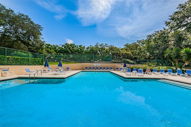 2706 11th Ct, Palm Harbor, FL 34684 - community pool with a patio and view of wooded area