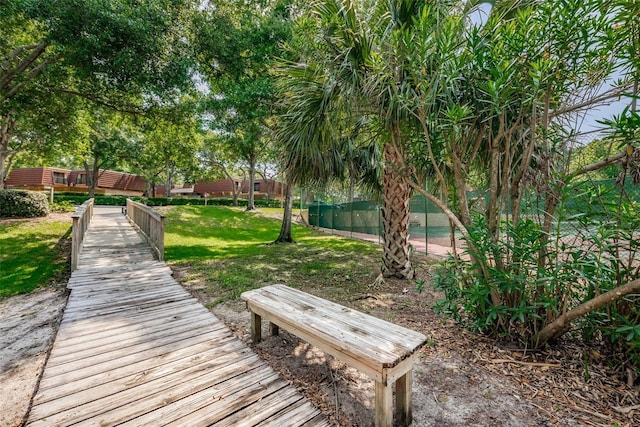 2706 11th Ct, Palm Harbor, FL 34684 - surrounding community with a yard