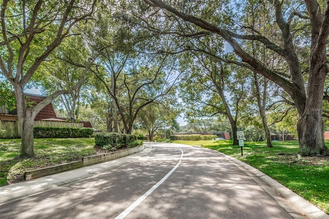 2706 11th Ct, Palm Harbor, FL 34684 - view of asphalt road with curbs
