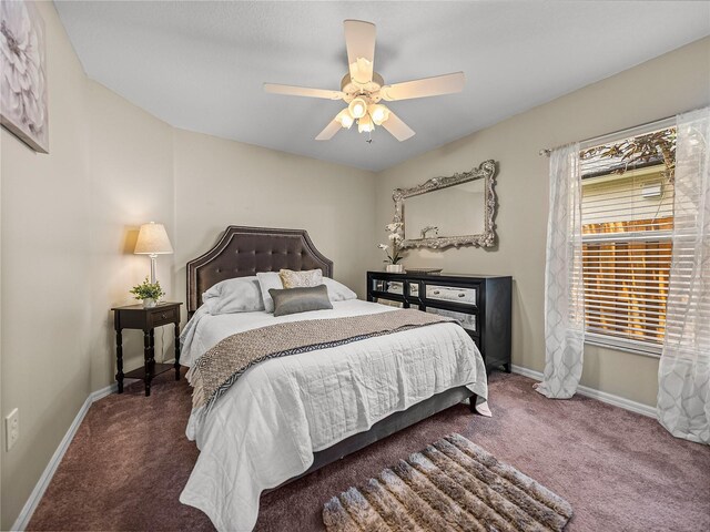 18003 Arbor Crest Dr, Tampa, FL 33647 - bedroom with carpet flooring, baseboards, and a ceiling fan