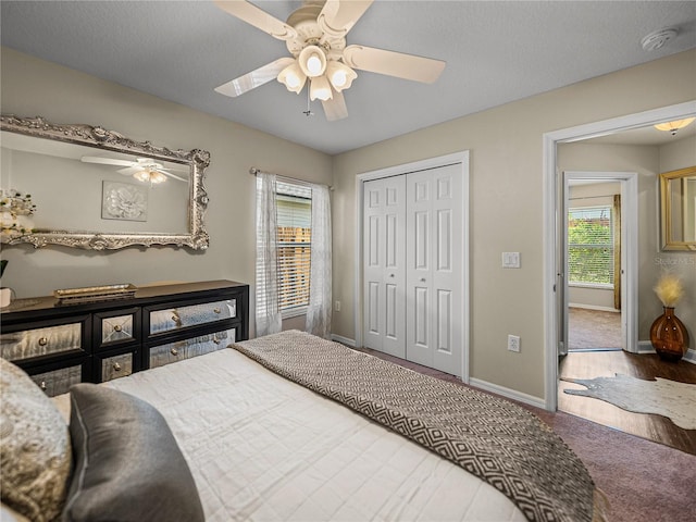 18003 Arbor Crest Dr, Tampa, FL 33647 - bedroom featuring baseboards, a closet, a ceiling fan, and carpet