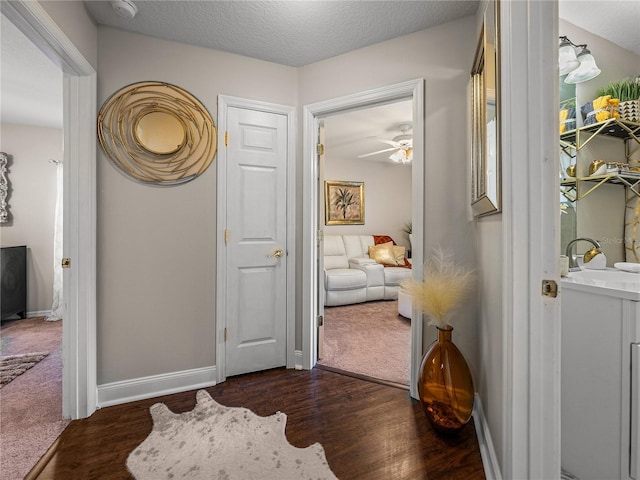 18003 Arbor Crest Dr, Tampa, FL 33647 - corridor with dark carpet, a sink, and dark wood-style floors
