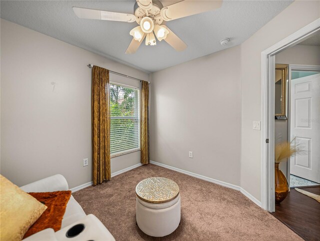 18003 Arbor Crest Dr, Tampa, FL 33647 - living area with carpet flooring, ceiling fan, and baseboards