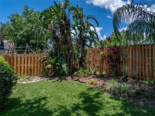 18003 Arbor Crest Dr, Tampa, FL 33647 - view of yard