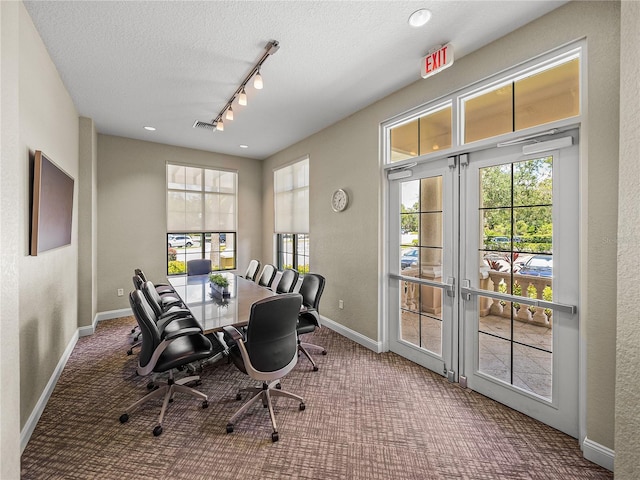 18003 Arbor Crest Dr, Tampa, FL 33647 - dining room with baseboards, carpet, track lighting, plenty of natural light, and a textured ceiling