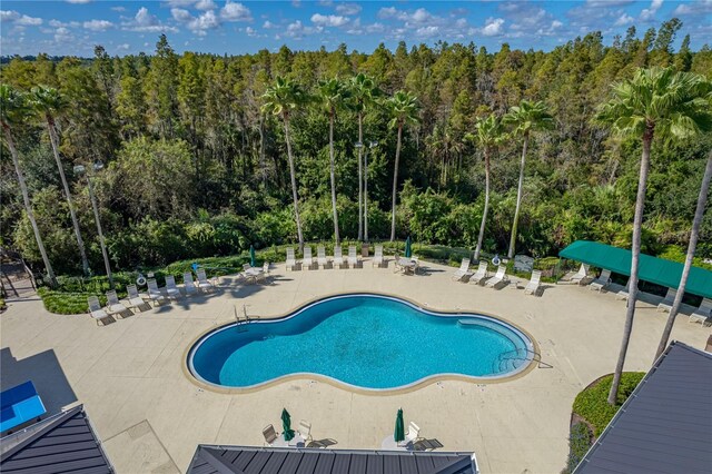 18003 Arbor Crest Dr, Tampa, FL 33647 - community pool featuring a patio area and a view of trees
