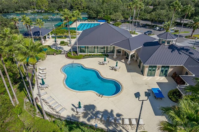 18003 Arbor Crest Dr, Tampa, FL 33647 - community pool with french doors, a patio, and view of scattered trees