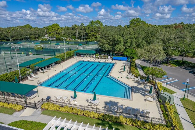 18003 Arbor Crest Dr, Tampa, FL 33647 - view of community pool