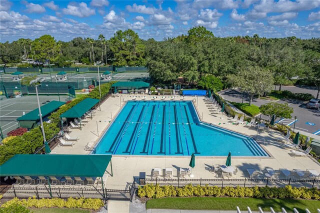 18003 Arbor Crest Dr, Tampa, FL 33647 - community pool featuring view of scattered trees