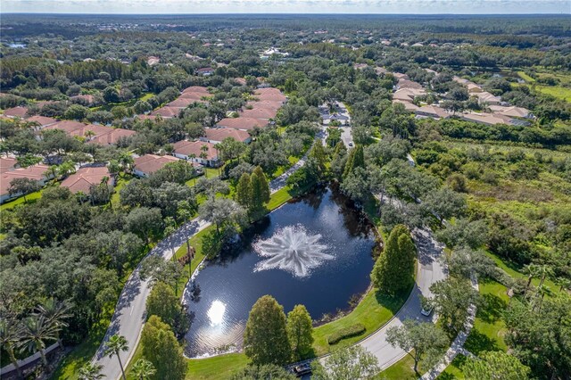 18003 Arbor Crest Dr, Tampa, FL 33647 - aerial view of property and surrounding area featuring a large body of water and nearby suburban area