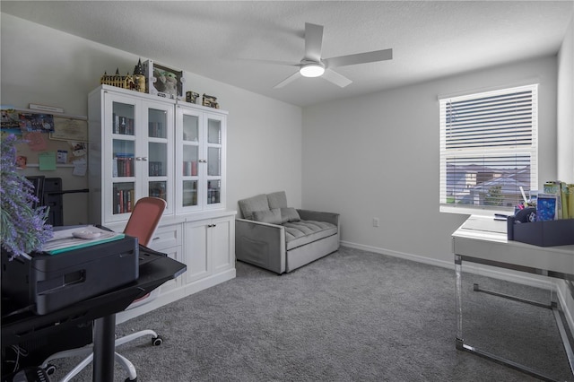 5189 Greenheart Ave, Mount Dora, FL 32757 - office space with ceiling fan, carpet, and a textured ceiling