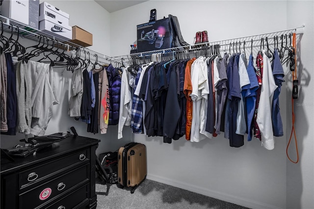 5189 Greenheart Ave, Mount Dora, FL 32757 - walk in closet with carpet and radiator heating unit